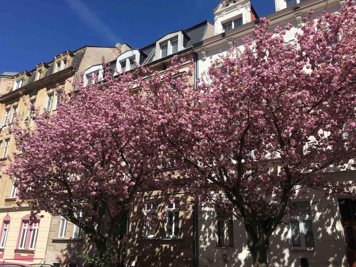 Apartmany Jizdarenska カルロヴィ・ヴァリ エクステリア 写真