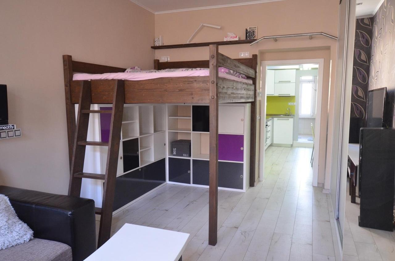 Apartmany Jizdarenska カルロヴィ・ヴァリ エクステリア 写真